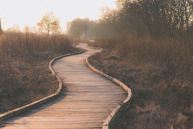 trails