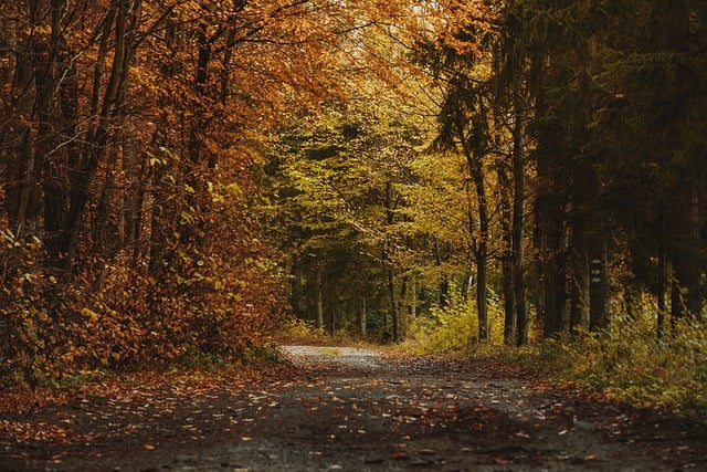 trails