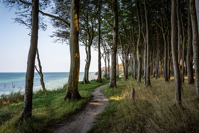trails
