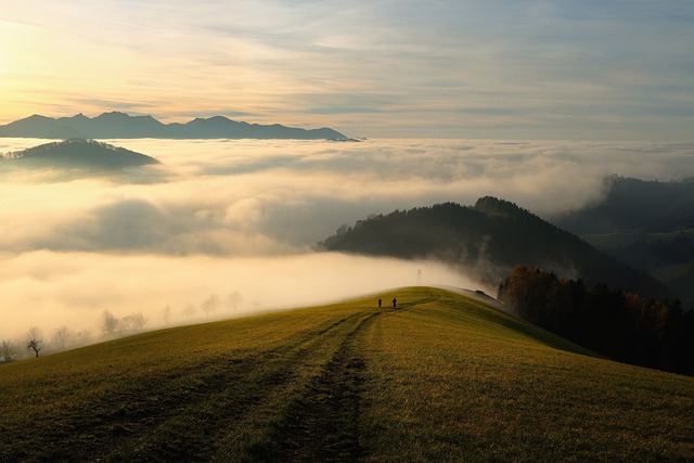 trails