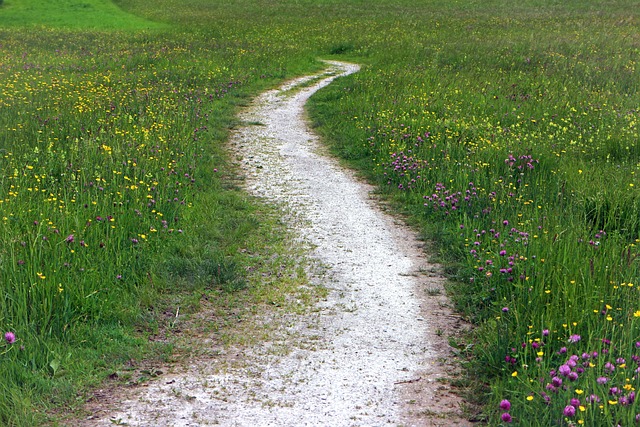 trails