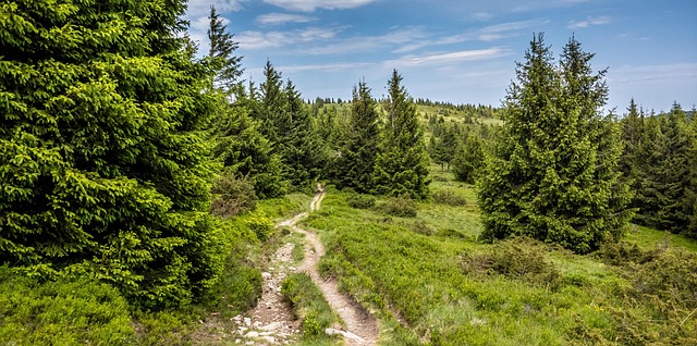 trails