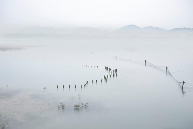 tranquility