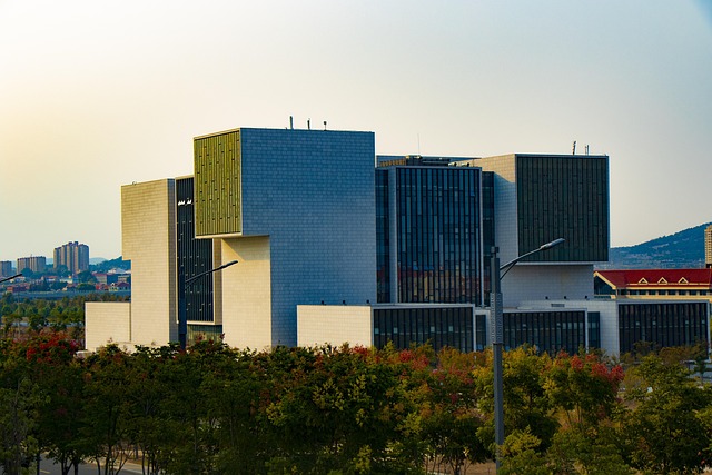 university