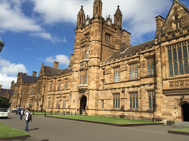 university