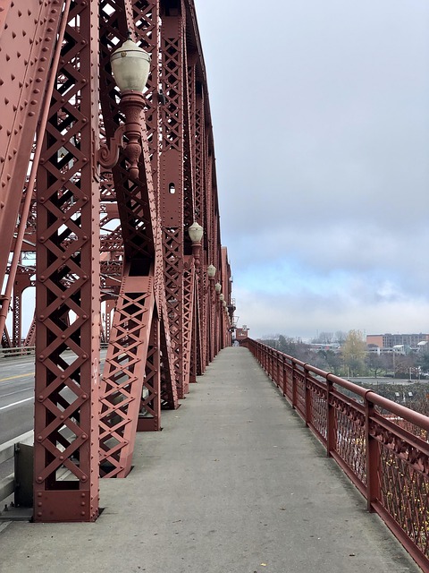 Senior Volunteer Mentorship Programs: Impact and Insights for Eugene, Oregon