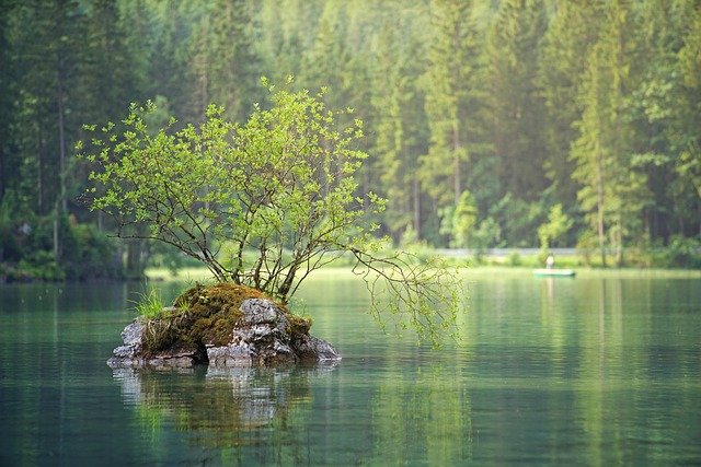 water
