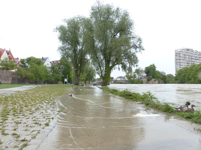 water-damage-flood-leak-moisture-mold-640x480-82925169.jpeg