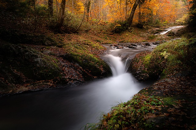 Waterfalls