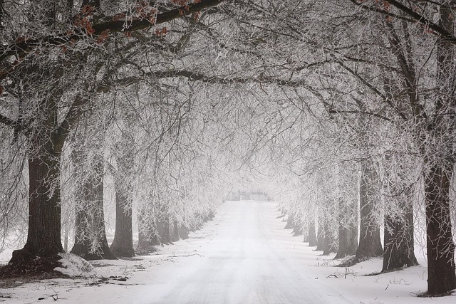 weather-plumbing-rain-frost-cold-humidit-640x480-90138578.jpeg