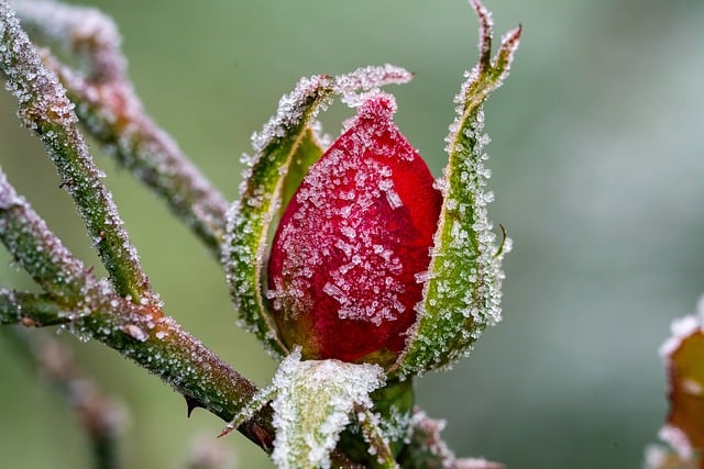 weather-plumbing-rain-frost-cold-humidit-640x480-90628053.jpeg