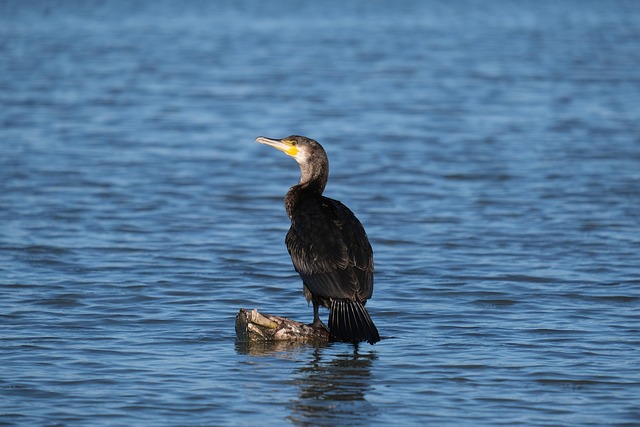 Unveiling Florence’s Natural Wonders: A Guide to Coast Reserves