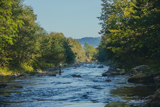 willamette-fishing-river-trout-nature-co-640x480-12825351.jpeg