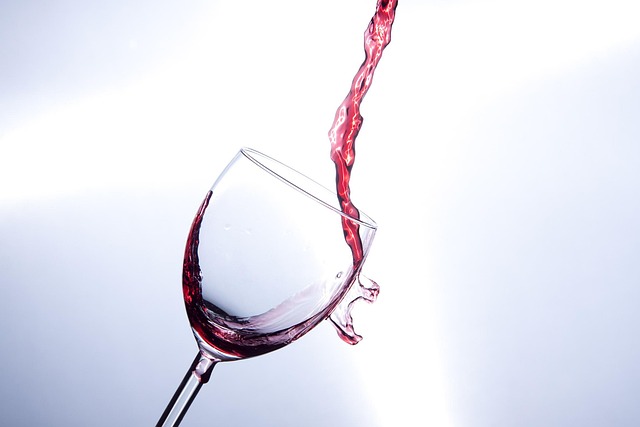 Immerse in Pinot Noir Crafting: Willamette Valley’s Southern Charm