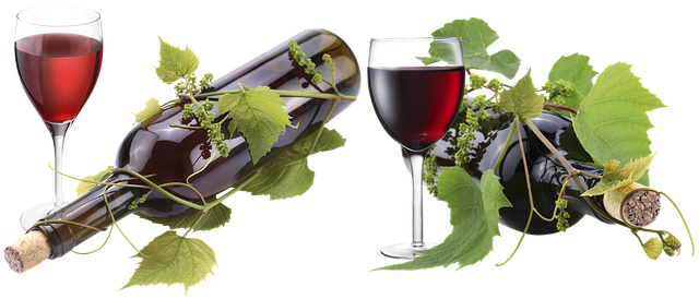 wine