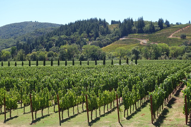 winery