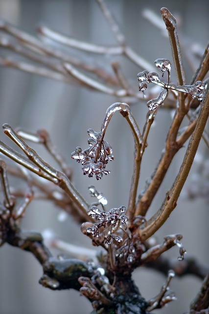 winter