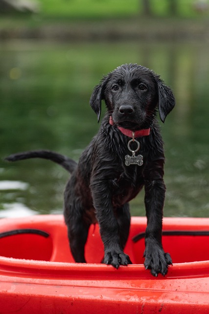 adventure