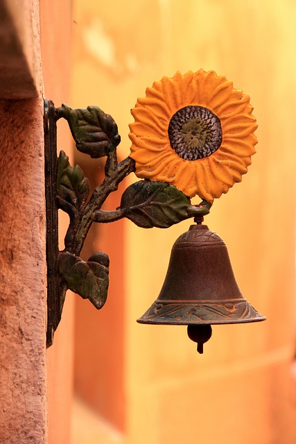 Affordable Video Doorbell System