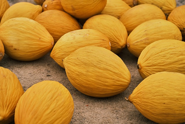 agriculture