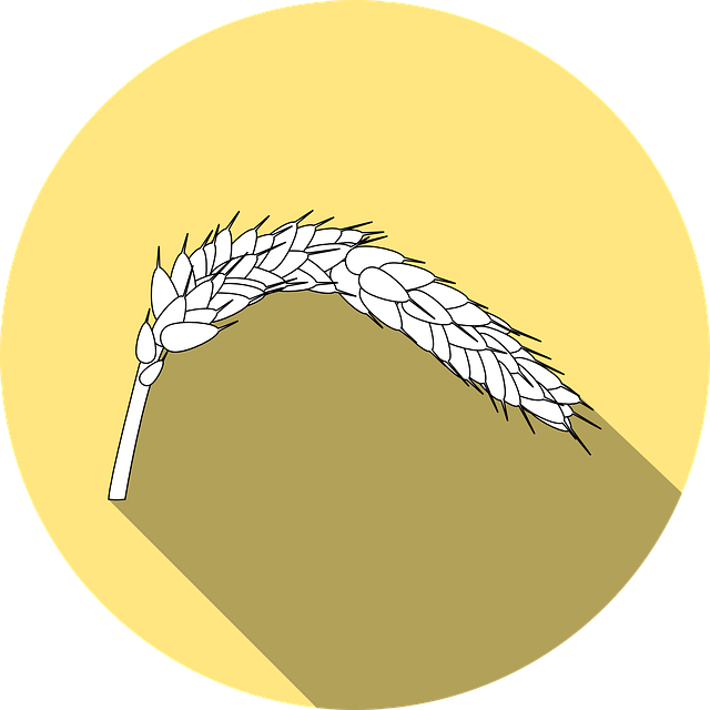 allergy