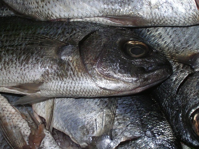 Angler