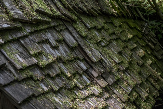 asphalt-shingle-roofing-eugene-oregon-640x480-87387231.jpeg