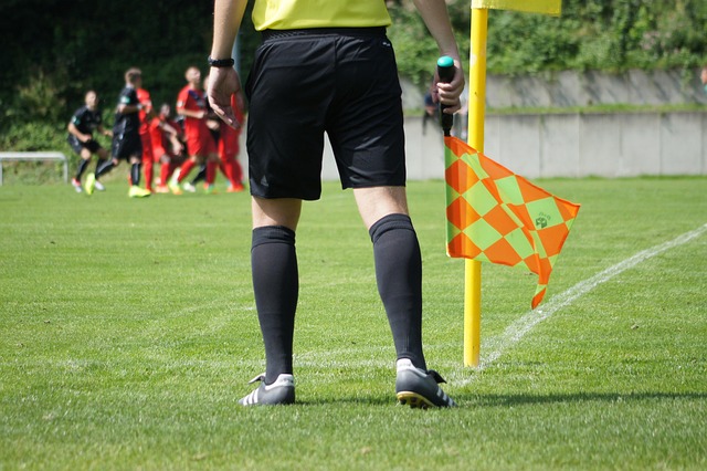 assistant