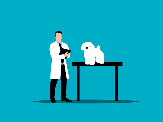 assistant