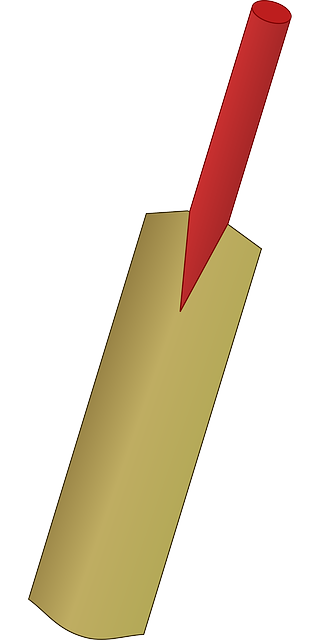 bat