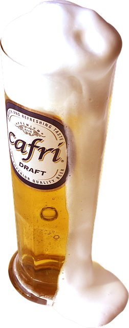 beer-640x480-34171983.png