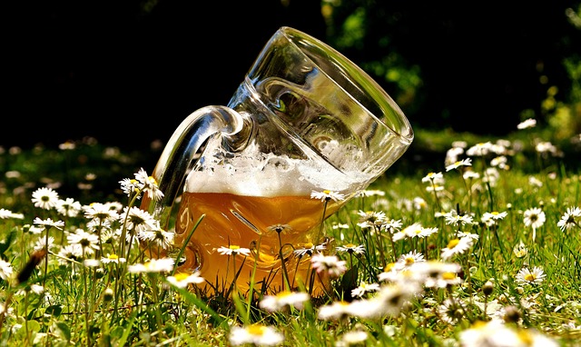 beer