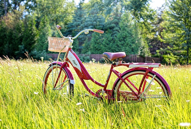 bike