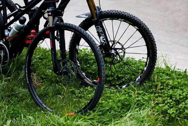 bike