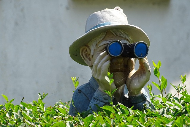 binoculars