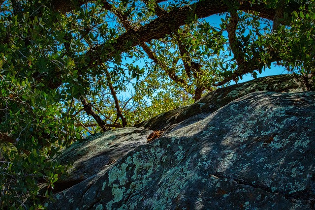 bouldering