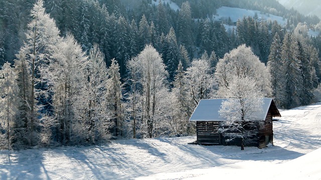 cabins
