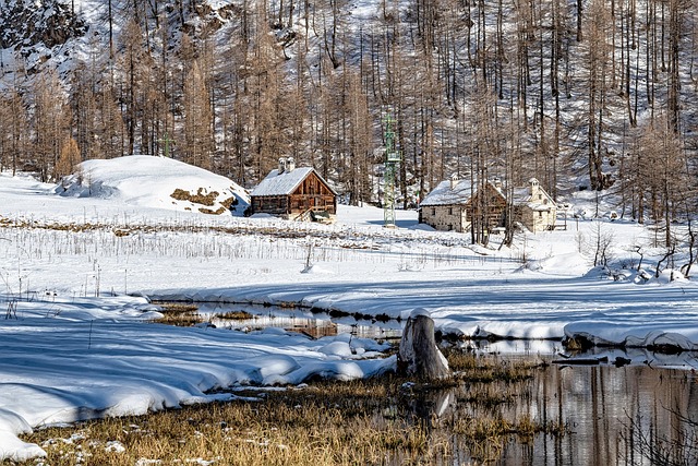cabins