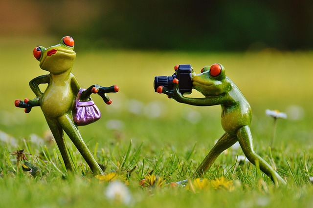camera