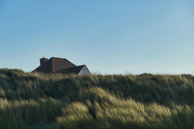 coast