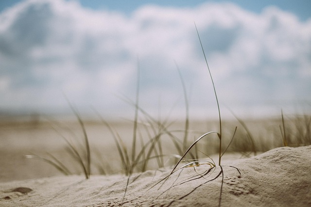 coastal