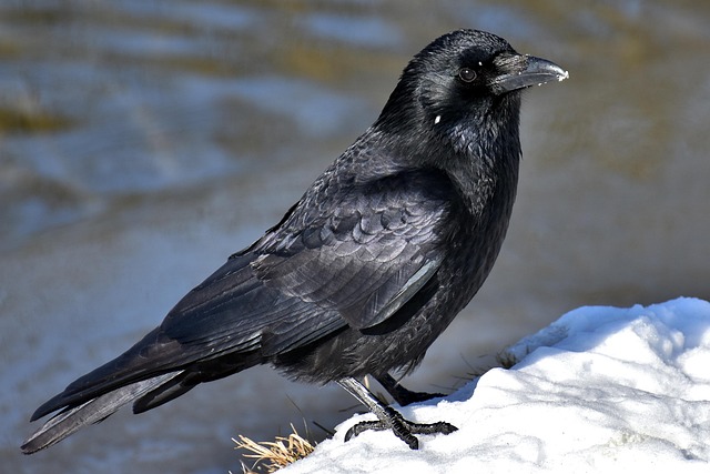 cold-640x480-91716162.jpeg