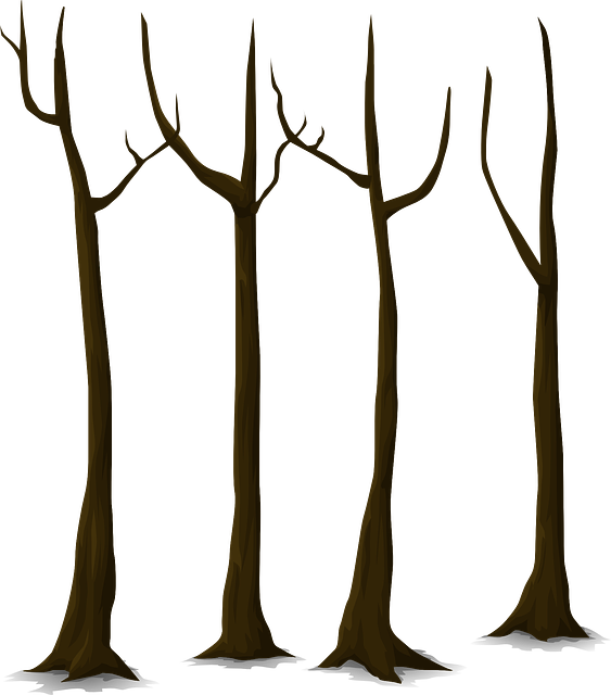 conservation-640x480-31585261.png