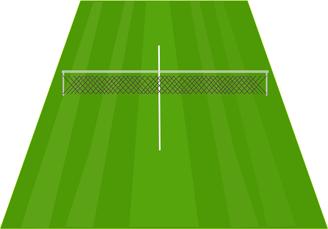 court