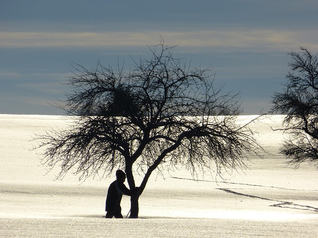 cross-country-640x480-17620381.jpeg