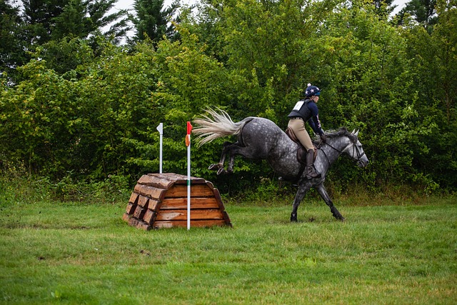 cross-country
