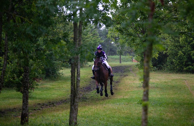 cross-country