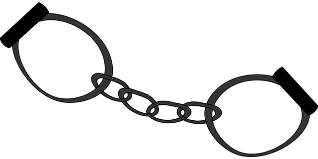 custody
