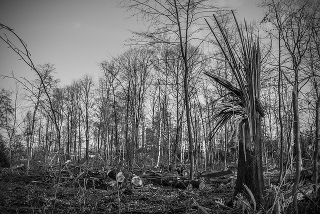 damage