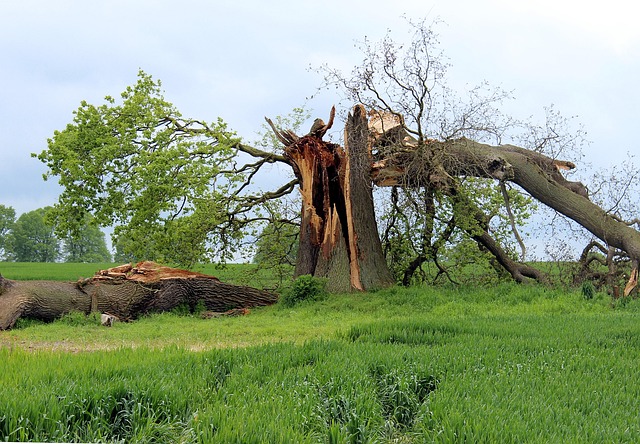 damage